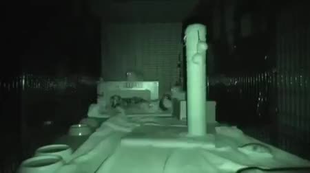 GIF Preview