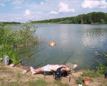 GIF Preview