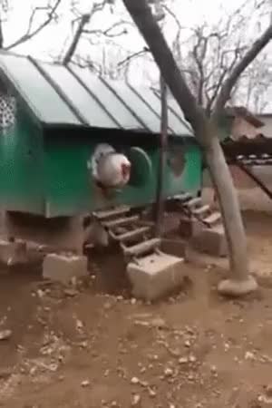 GIF Preview
