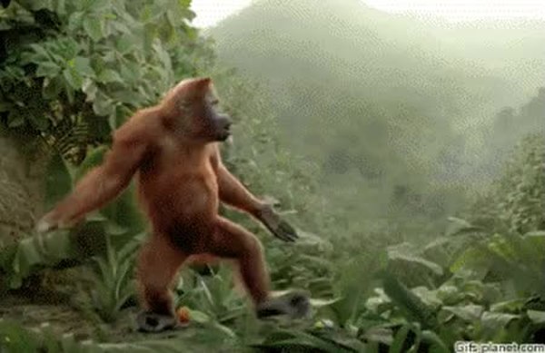 GIF Preview