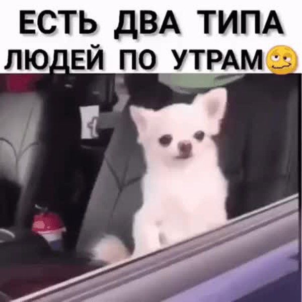 GIF Preview