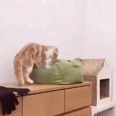 GIF Preview