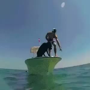 GIF Preview