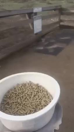 GIF Preview