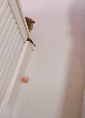 GIF Preview