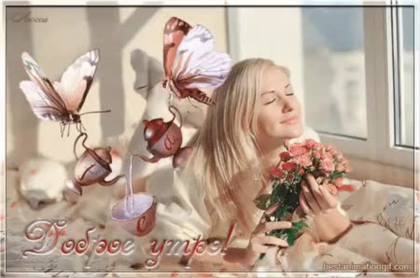 GIF Preview