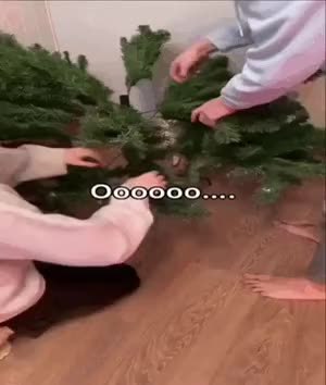 GIF Preview