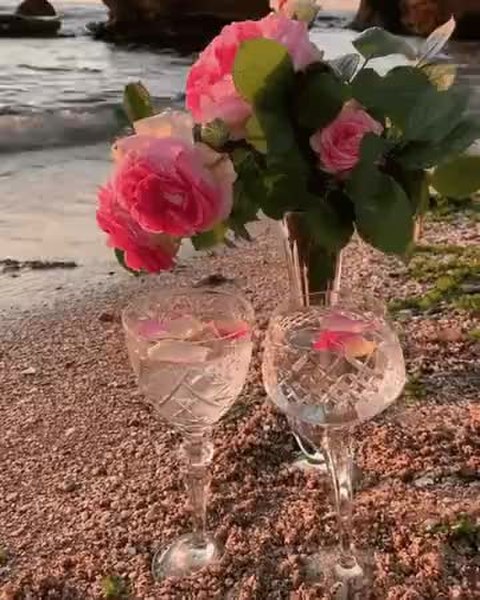 GIF Preview