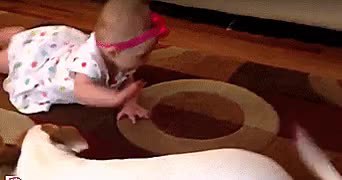 GIF Preview