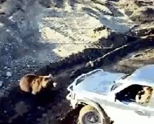 GIF Preview