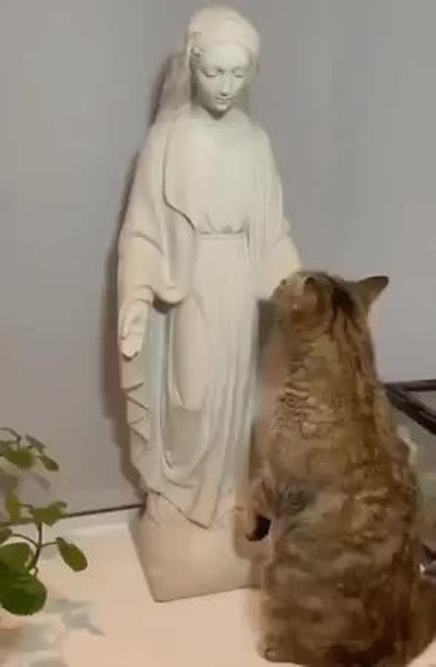 GIF Preview