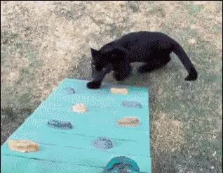 GIF Preview