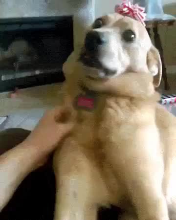 GIF Preview