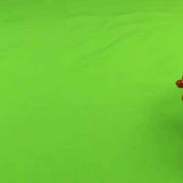 GIF Preview