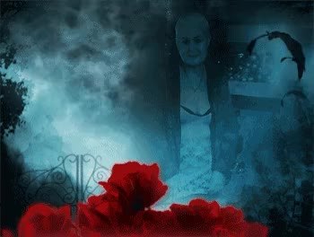 GIF Preview