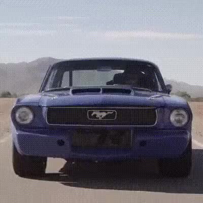 GIF Preview