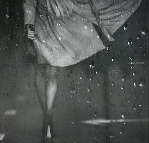 GIF Preview