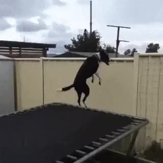 GIF Preview