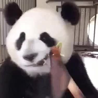 GIF Preview