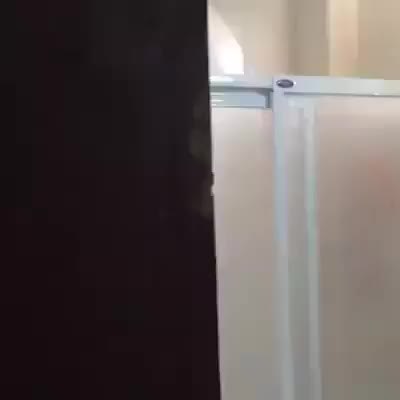 GIF Preview