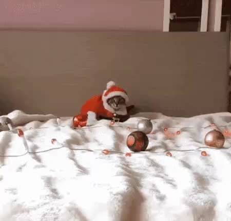 GIF Preview