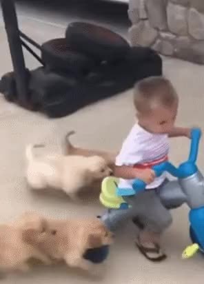 GIF Preview