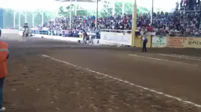 GIF Preview