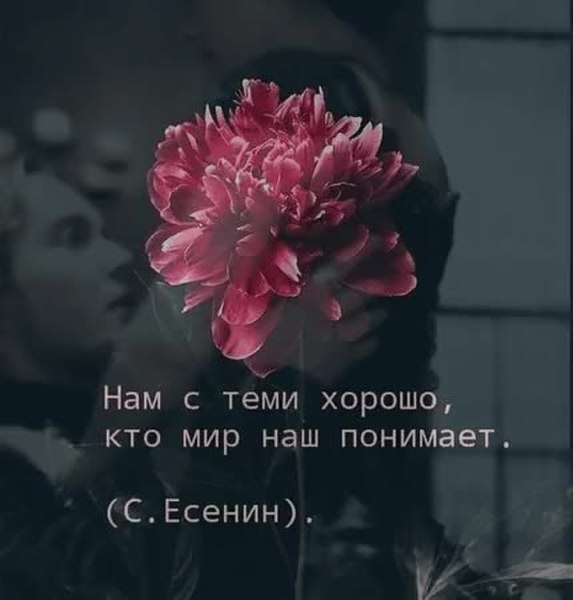 GIF Preview