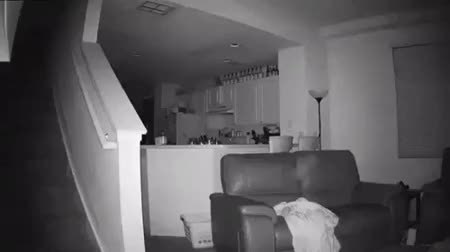 GIF Preview