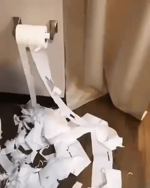 GIF Preview