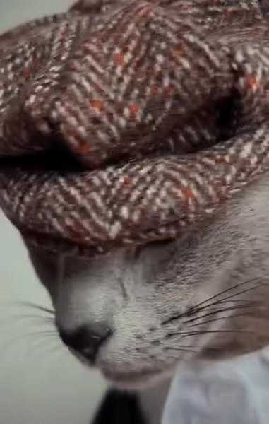 GIF Preview