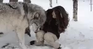 GIF Preview