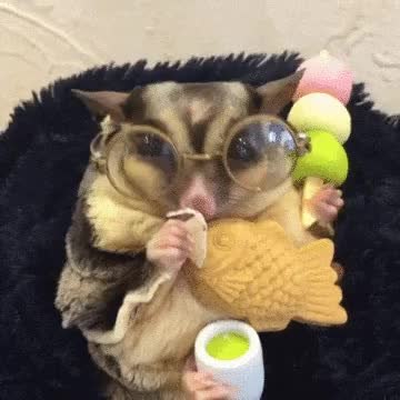 GIF Preview