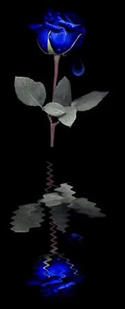 GIF Preview
