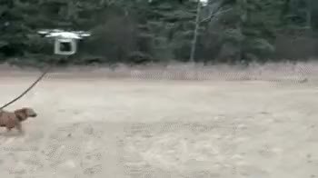 GIF Preview
