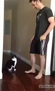 GIF Preview