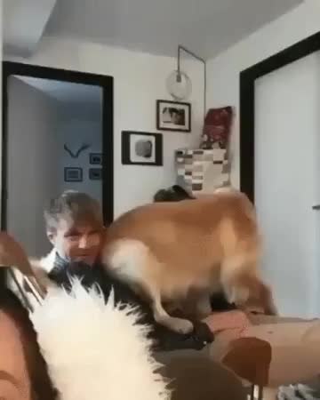 GIF Preview