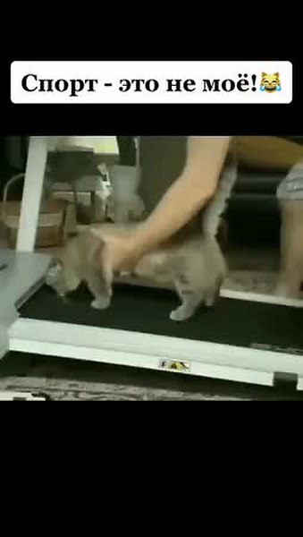 GIF Preview