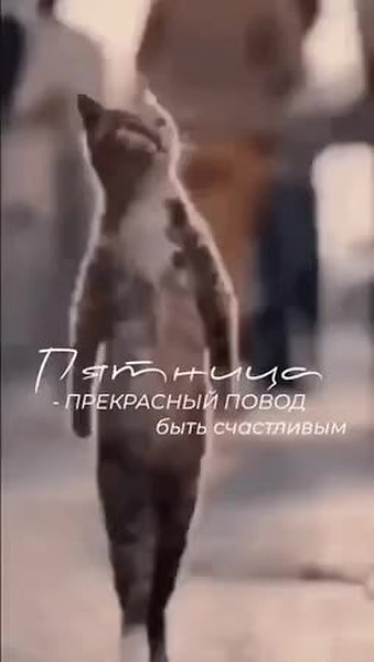 GIF Preview