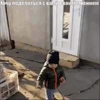 GIF Preview