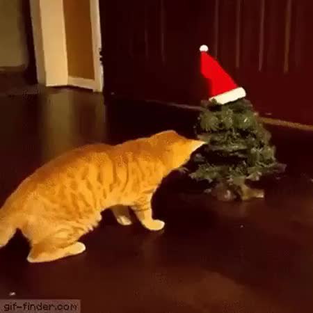 GIF Preview