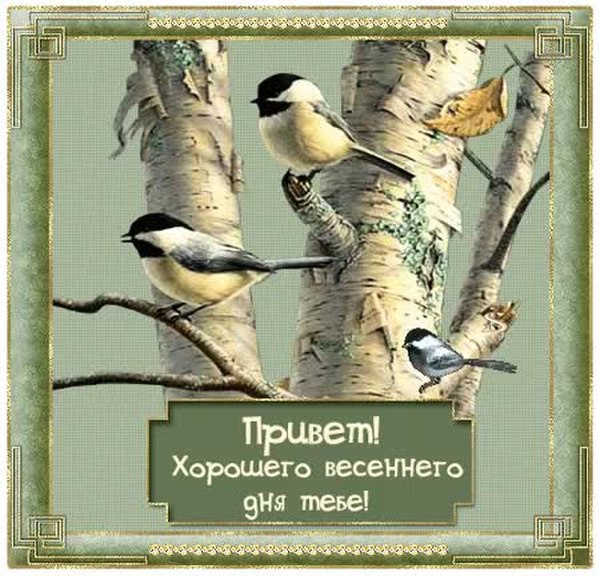 Доброе утро с птицами картинки с надписями