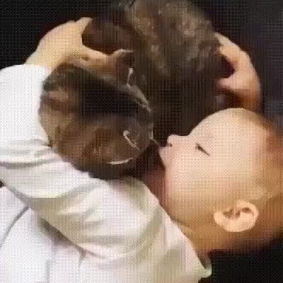 GIF Preview