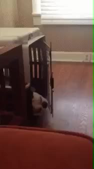 GIF Preview