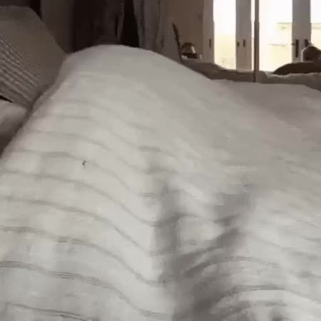 GIF Preview