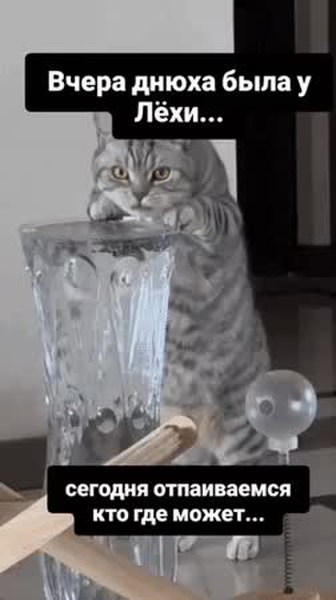GIF Preview