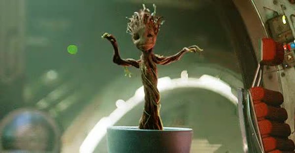 GIF Preview