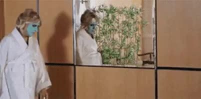 GIF Preview