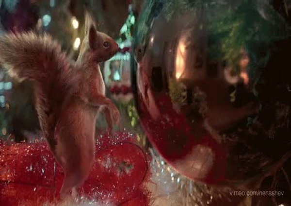 GIF Preview