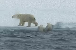 GIF Preview